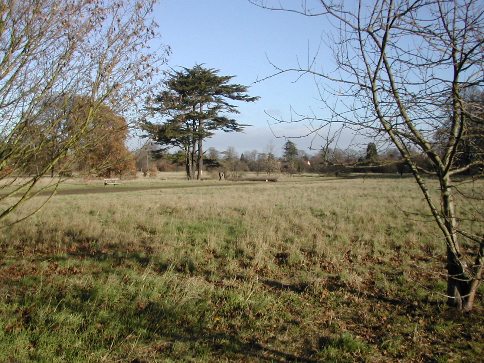 16th December 2003